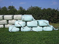 A stack of plastic-wrapped silage bales