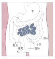 2010年6月22日 (二) 03:01版本的缩略图