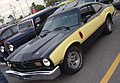 Ford Maverick Stallion (1976)