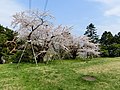 2018年4月30日 (月) 07:21時点における版のサムネイル