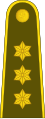 Kapitonas[9] (Lithuanian Land Forces)