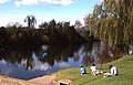 Cudgegong River where it passes close to the town