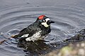 Female bathing in California, USA