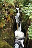 Baxengill Gorge, River Doe, near Ingleton