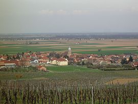 A general view of Bergholtz