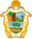 Blason de Manaus