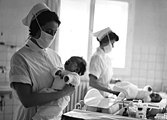 Hebammen, Schwestern mit Babys auf der Entbindungsstation im Krupp-Krankenhaus, 1960