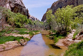 Calf Creek im Schutzgebiet