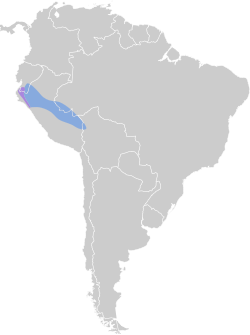 Distribución geográfica de la tangara albinegra.