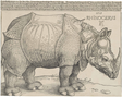 „Rhinocerus“, Albrecht Dürer (1515)