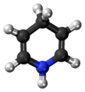 Ball-and-stick model of the dihydropyridine molecule