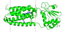 EBI PDB 3kp9 transmembrane.png