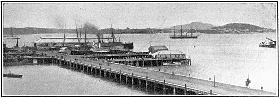 View of wharf and harbour, Auckland, New Zealand