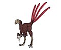 Epidexipteryx