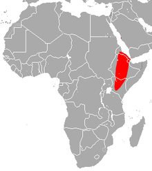 Етиопска зона с големи уши кръглолистни прилепи.png