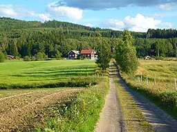 Fagerbacken augusti 2015.