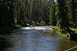 Upper Firehole near Lone Star Geyser