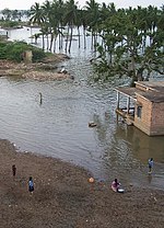 Flaum i Karnataka.