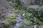 Miniatura para Río Cardener