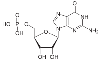 Гуанозинмонофосфат protoniert.svg