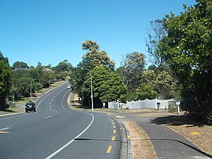 Halsey Drive in Lynfield