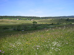 Paysage du Haut-Doubs.