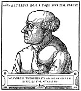 Hirschvogel Paracelsus.jpg