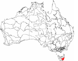 IBRA 6.1 Tasmanian South East.png