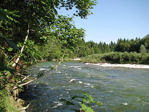 39. Platz: Gras-Ober mit Isar zwischen Geretsried und Einöd im Naturschutzgebiet Isarauen zwischen Schäftlarn und Bad Tölz.