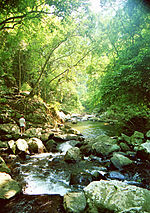 Miniatura para Parque nacional Kaeng Krachan