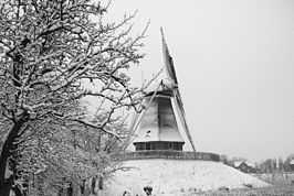 Korenmolen Waardenburg