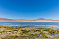 La lagune Cañapa en Bolivie. Image de qualité...