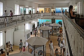 Muséum d'histoire naturelle de Saint-Denis