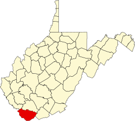 Koort vun McDowell County