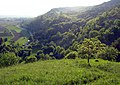 NSG Spitzberg, im Hintergrund NSG Hirschauer Berg