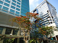 Two mid-height glass-clad buildings with trees in front