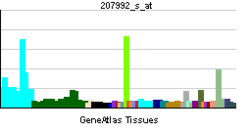 PBB GE AMPD3 207992 s at tn.png