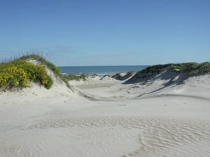 Photos and maps related to Padre Island. Padre...