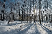 Park Schoena na Środuli