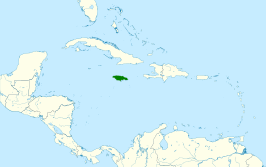 Jamaicaanse uil