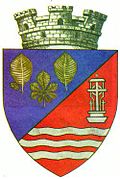 Wappen von Făget