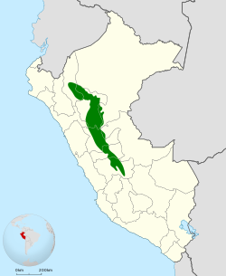 Distribución geográfica de la tangara del Huallaga.