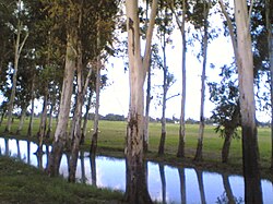 Road side canals are very common around Pilibhit