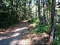 Photo of Rose River Fire Road in Shenandoah National Park