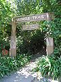 Jungle Trail