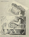 Врезка электростанции Сноквалми - 1900.jpg