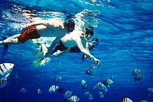 Diving And Snorkeling