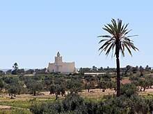 Vue d'une mosquée isolée au milieu d'oliviers, avec un palmier dominant à droite.