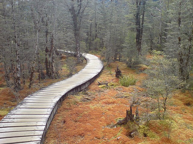 boardwalk