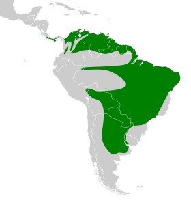 Distribución geográfica del pijuí pechiblanco.
